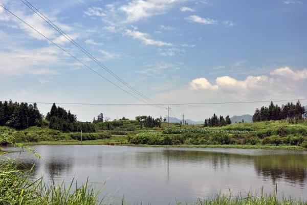 八個賺錢創(chuàng)業(yè)項目