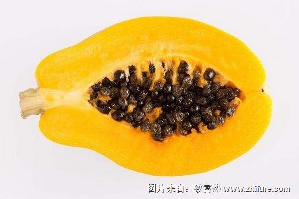 木瓜籽的功效與作用及禁忌