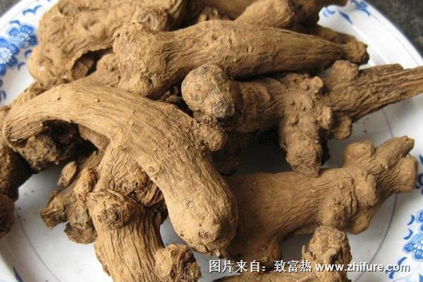 2018種白術賺錢嗎？白術種植的利潤與投資成本及前景預測