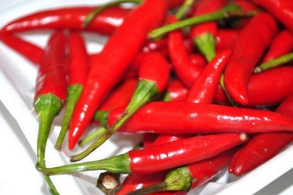 小辣椒價格多少錢一斤