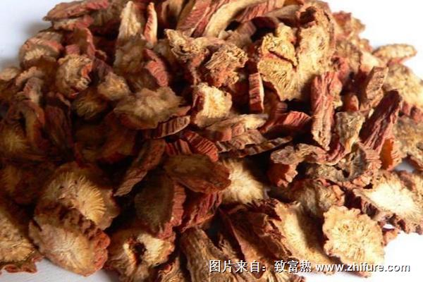 2018種丹參賺錢嗎？丹參種植的利潤與投資成本及前景預測