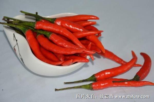 原味小辣椒長什么樣子