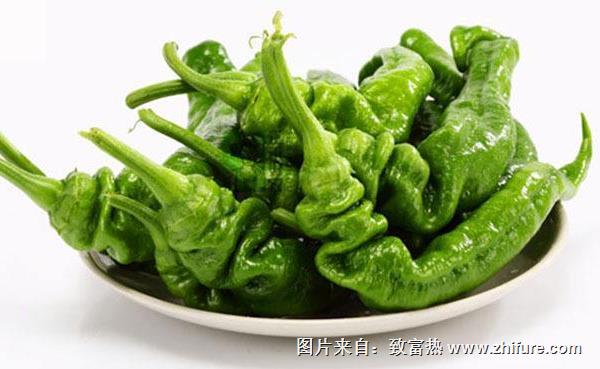 辣椒原產(chǎn)地是哪里