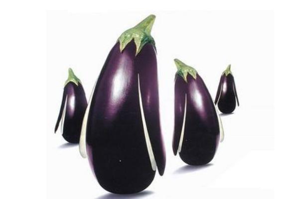 茄子湯的做法大全