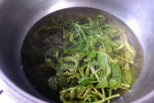 香椿炒雞蛋的做法大全