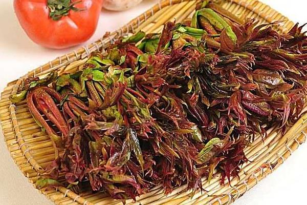 香椿種植經濟效益分析