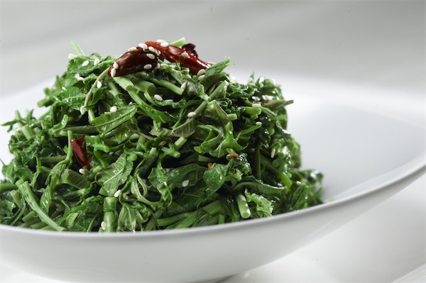 香椿苗種植方法