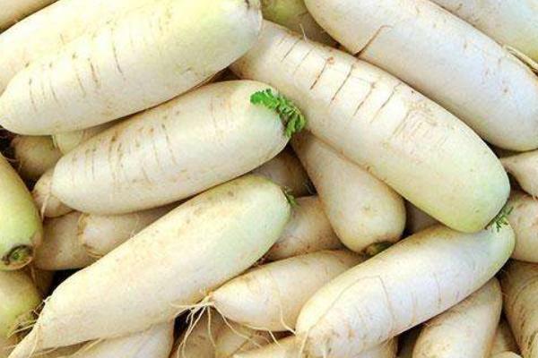 2018種蘿卜賺錢嗎?蘿卜種植的利潤與投資成本及前景預(yù)測