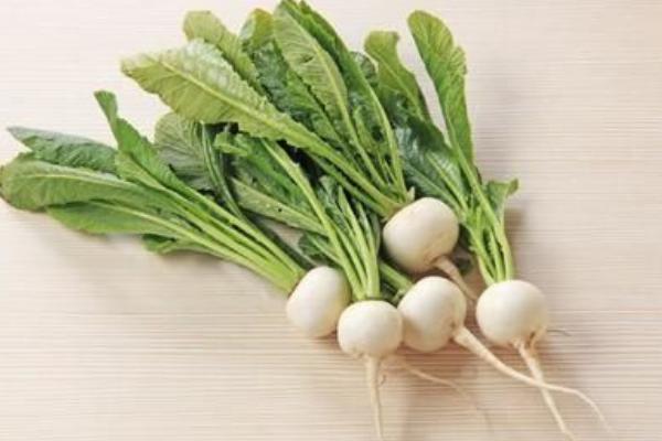 2018種蘿卜賺錢嗎?蘿卜種植的利潤與投資成本及前景預(yù)測