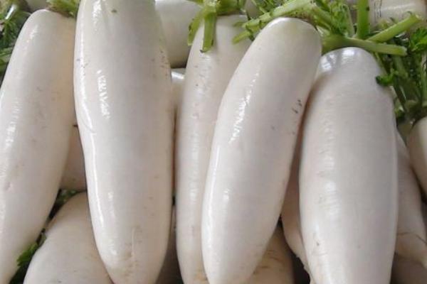 2018種蘿卜賺錢嗎?蘿卜種植的利潤與投資成本及前景預(yù)測
