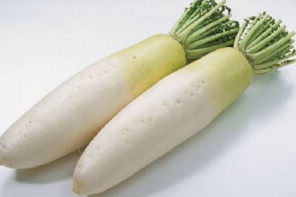 2018種蘿卜賺錢嗎?蘿卜種植的利潤與投資成本及前景預(yù)測