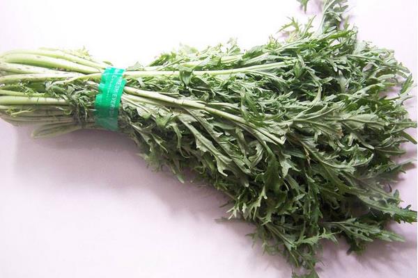 雪菜怎么種植能高產(chǎn)