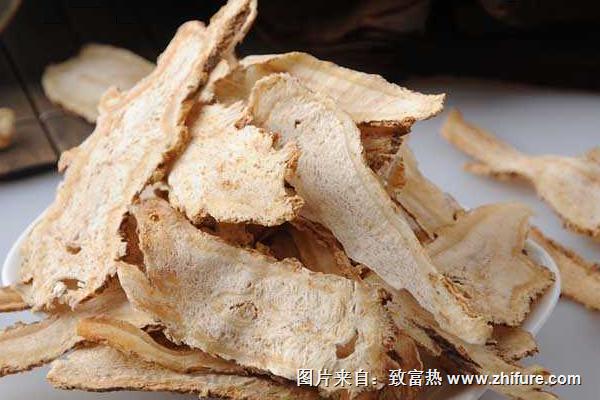 2018種當歸賺錢嗎？當歸種植的利潤與投資成本及前景預測