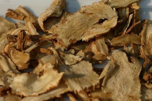 2018種當歸賺錢嗎?當歸種植的利潤與投資成本及前景預測