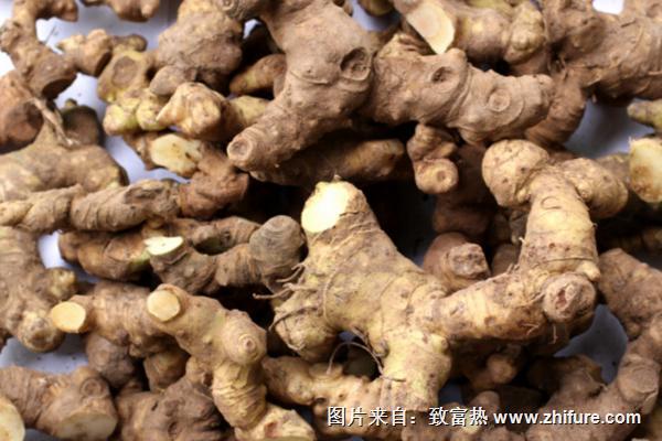 2018種黃精賺錢嗎？黃精種植的利潤與投資成本及前景預測