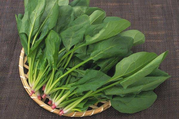 醋泡洋蔥可以減肥嗎