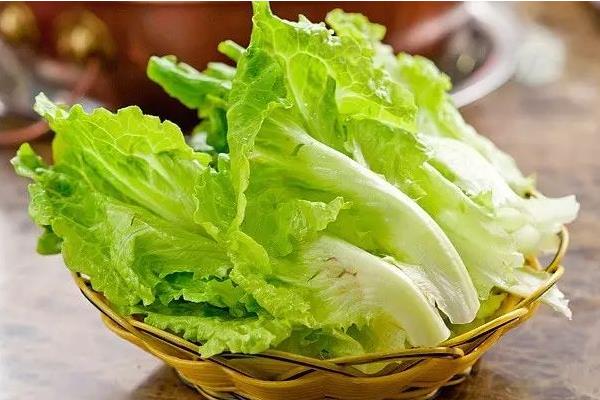 醋泡洋蔥可以減肥嗎