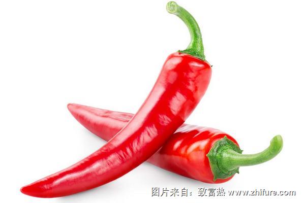 辣椒王是哪一種辣椒