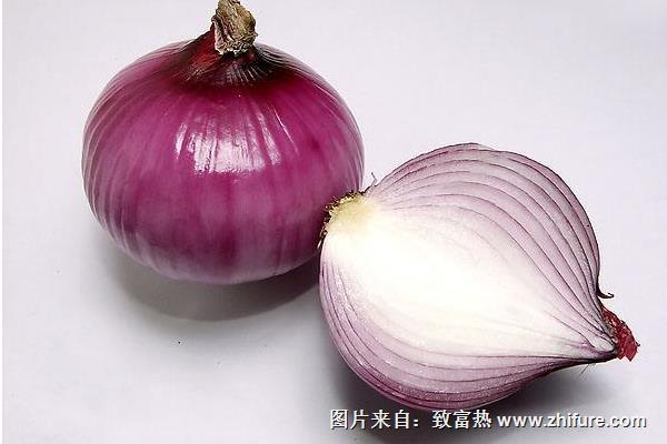 洋蔥怎么切