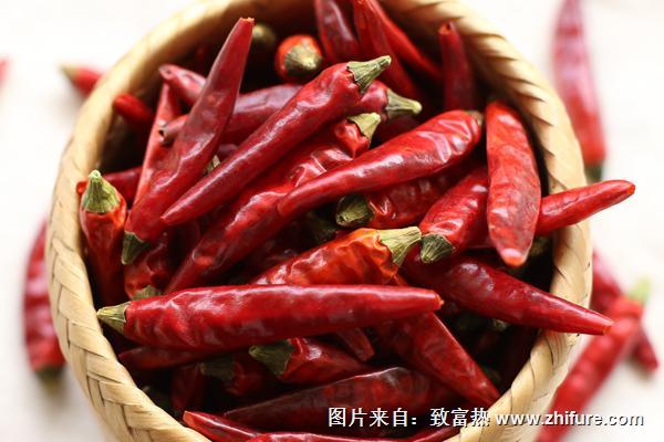 干辣椒品種有哪些