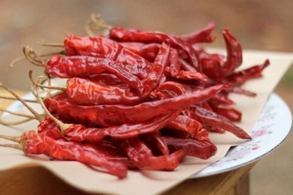 干辣椒品種有哪些