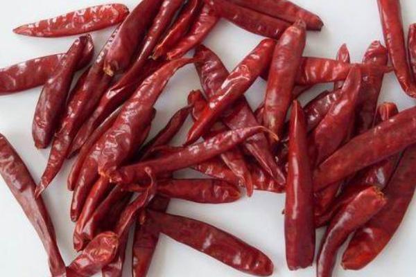 干辣椒品種有哪些
