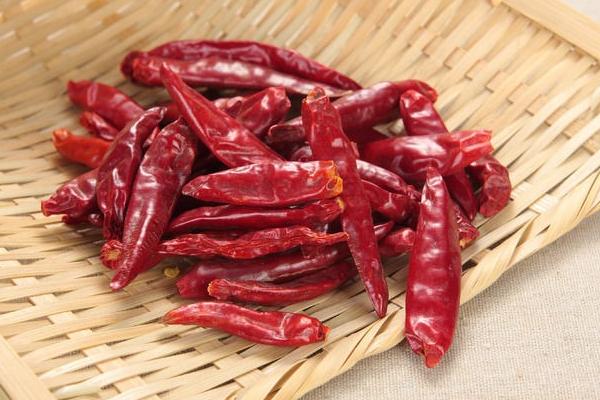 干辣椒品種有哪些