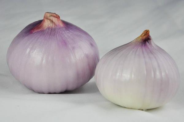 洋蔥怎么做好吃