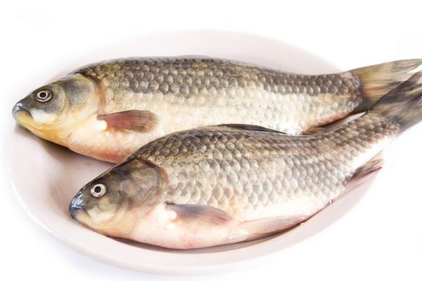 山藥不能和什么一起吃