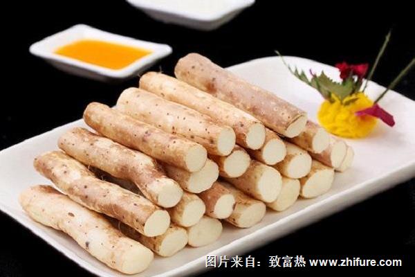 山藥不能和什么一起吃