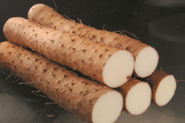 山藥不能和什么一起吃