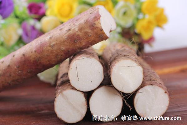 淮山藥產(chǎn)地在哪里