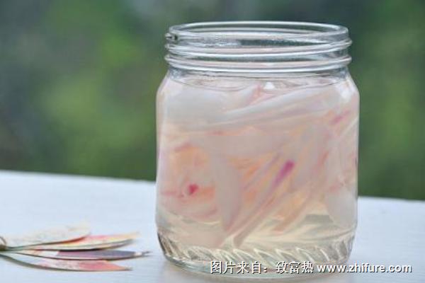 醋泡洋蔥的功效與作用及禁忌