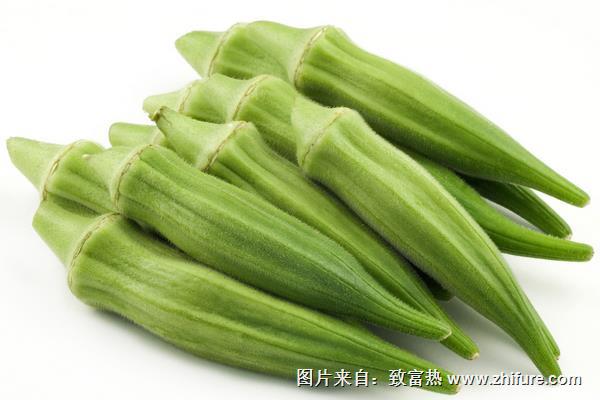 秋葵價(jià)格多少錢一斤