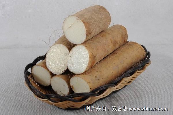 山藥的功效與作用及禁忌