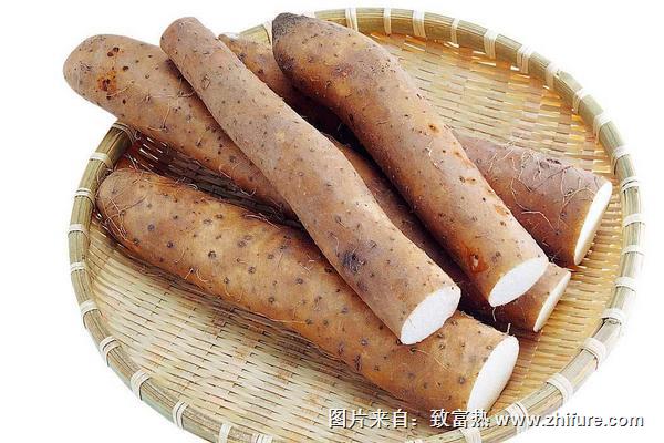 山藥是淮山嗎