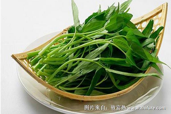 空心菜圖片大全