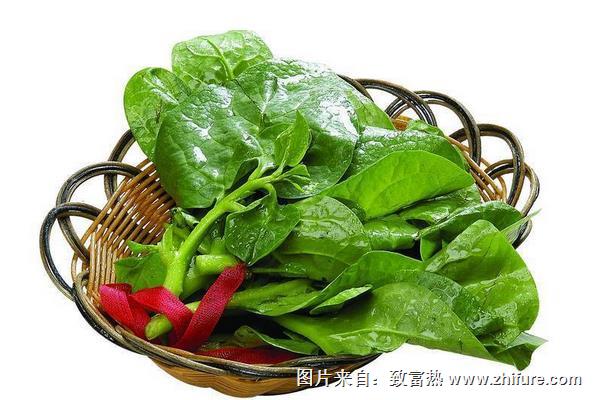 木耳菜價格多少錢一斤