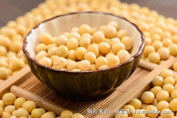 毛豆種子價格多少錢一斤