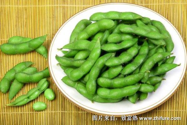 綠寶石毛豆特點(diǎn)是什么