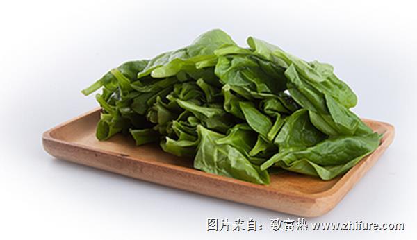 木耳菜的功效與作用及禁忌