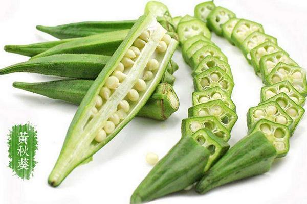 黃秋葵怎么種植