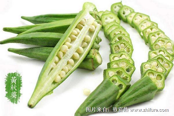 孕婦可以吃黃秋葵嗎
