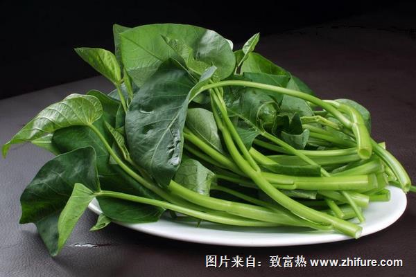 空心菜價(jià)格多少錢一斤