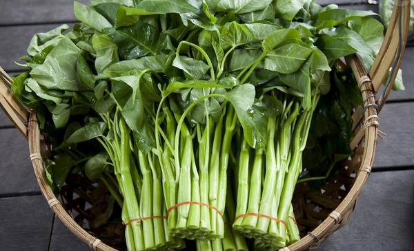 空心菜價格多少錢一斤