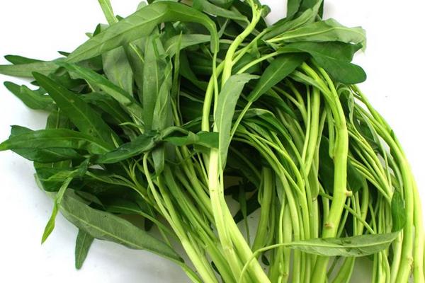 空心菜價格多少錢一斤