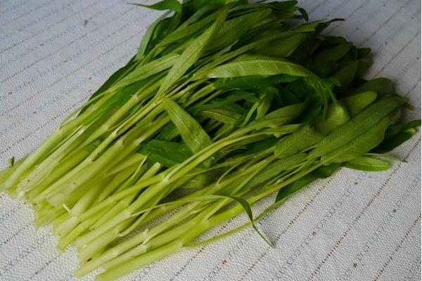 空心菜價格多少錢一斤