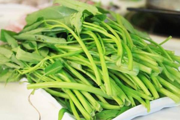 空心菜價格多少錢一斤