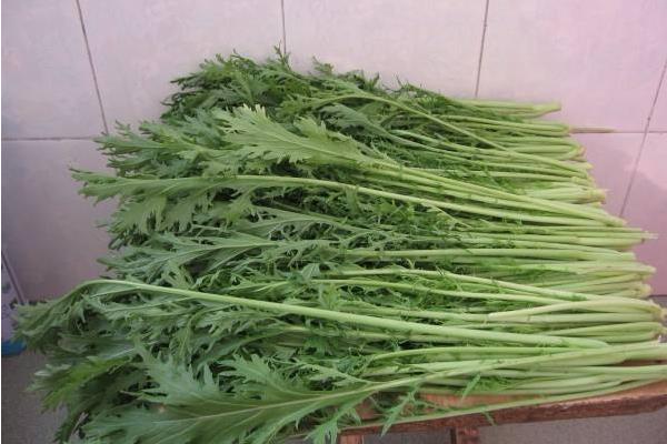 雪菜包子餡的做法大全