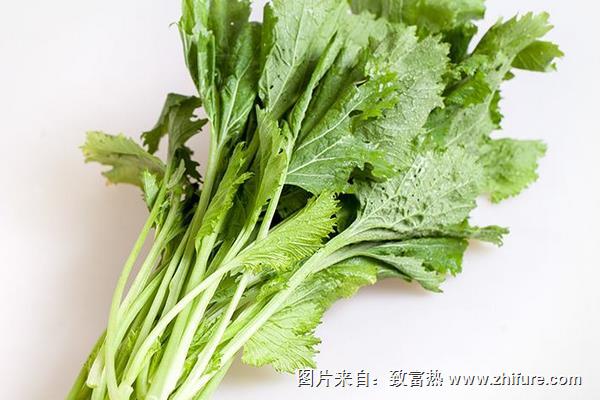 雪菜包子餡的做法大全